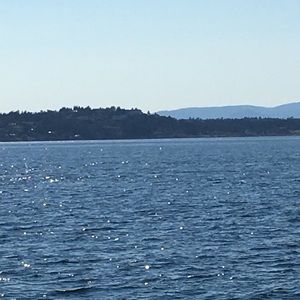 Meet your Posher, Fiona